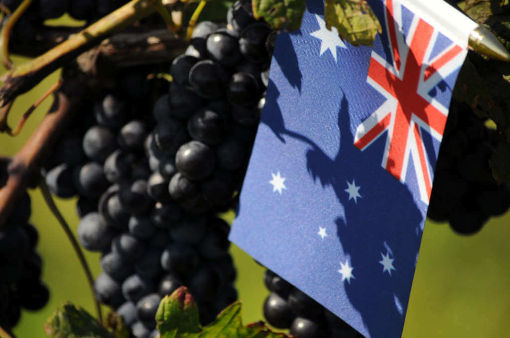 Australian wine - best wines guide main image