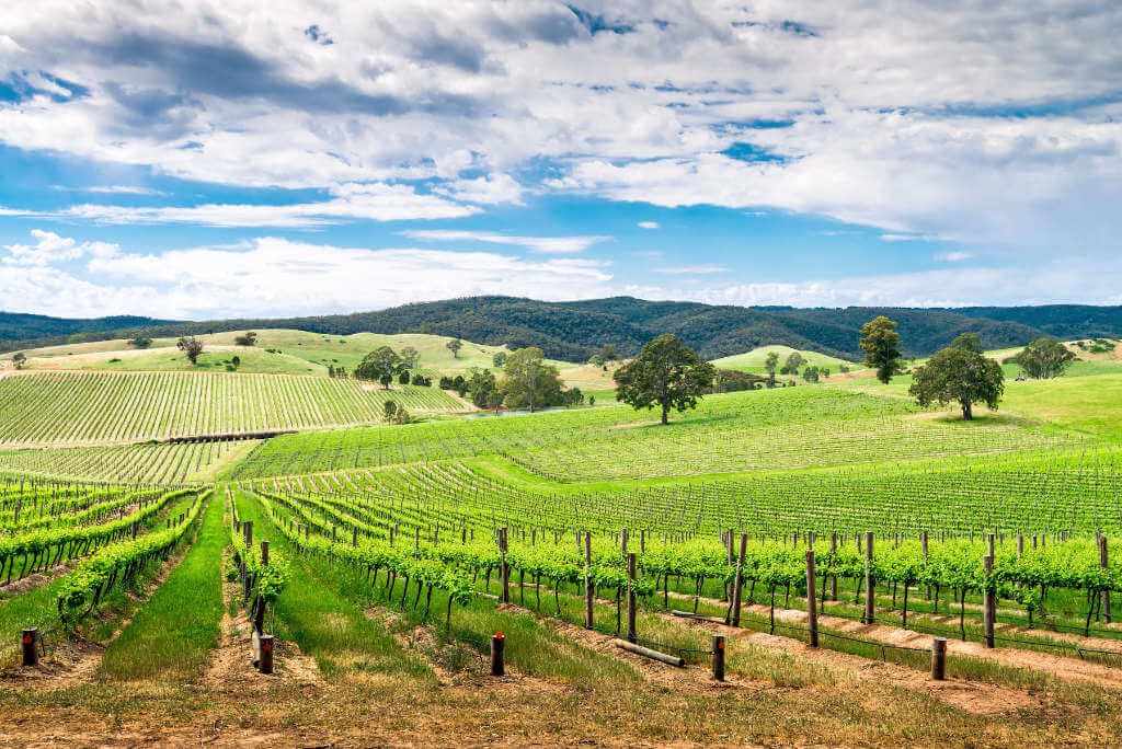 Australian wine regions - Barossa Valley